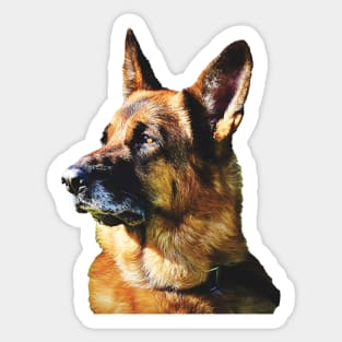 German Shepherd the best dog for you Sticker